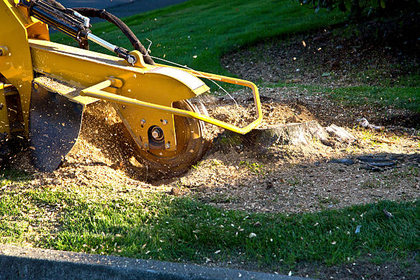 Landscape Design and Installation in Berry College, GA